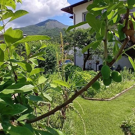 Appartment Lodged Mamma Maria Mattarello 외부 사진