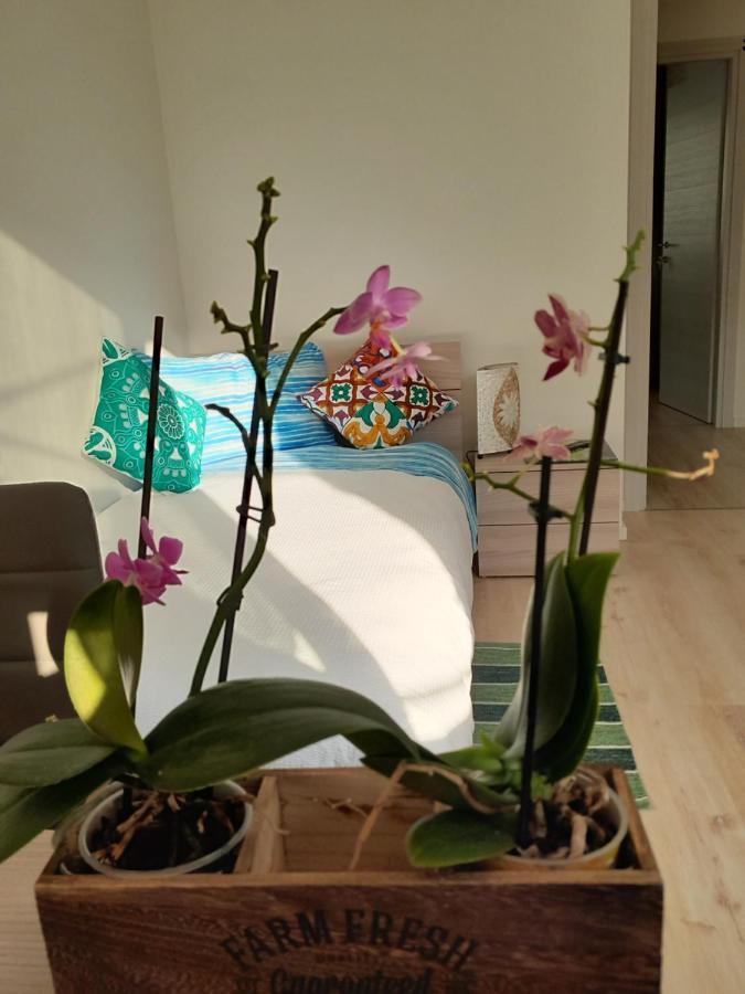 Appartment Lodged Mamma Maria Mattarello 외부 사진