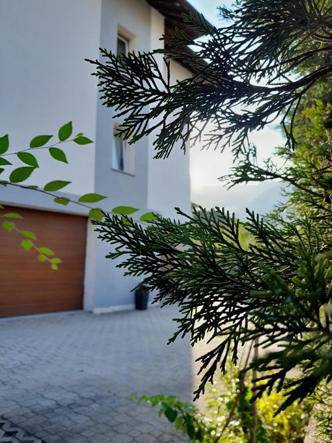 Appartment Lodged Mamma Maria Mattarello 외부 사진