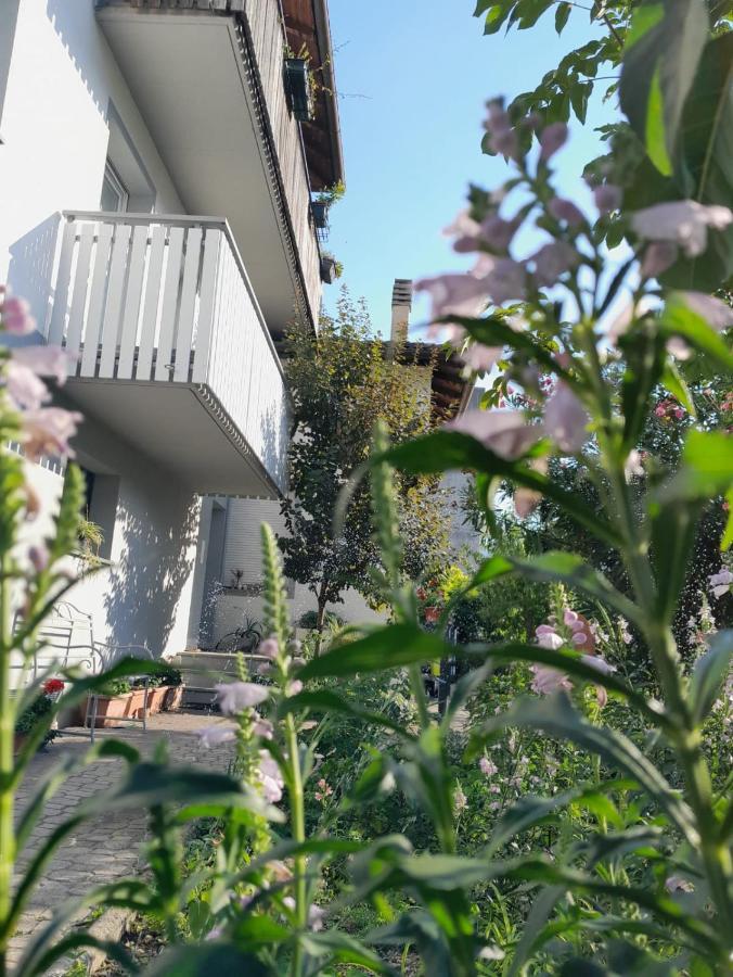 Appartment Lodged Mamma Maria Mattarello 객실 사진