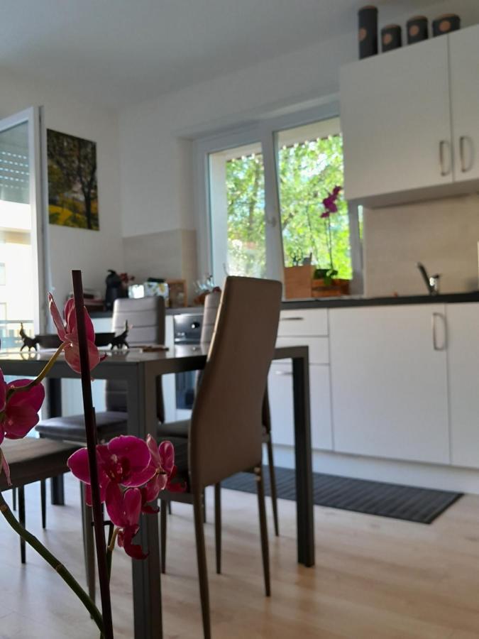 Appartment Lodged Mamma Maria Mattarello 외부 사진