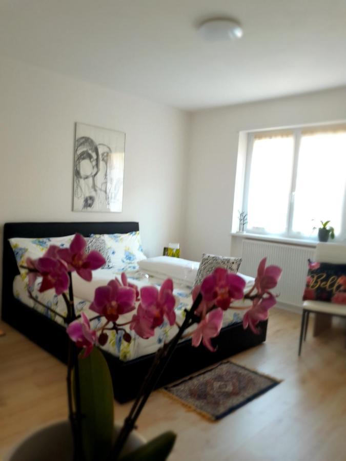 Appartment Lodged Mamma Maria Mattarello 외부 사진