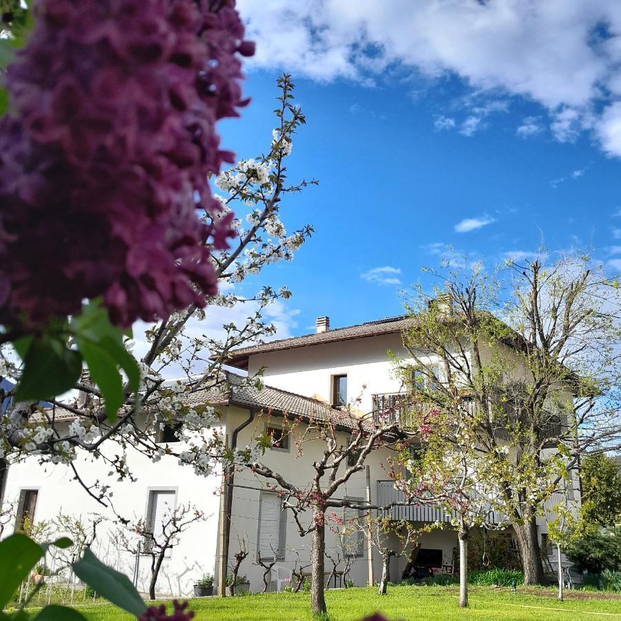 Appartment Lodged Mamma Maria Mattarello 외부 사진