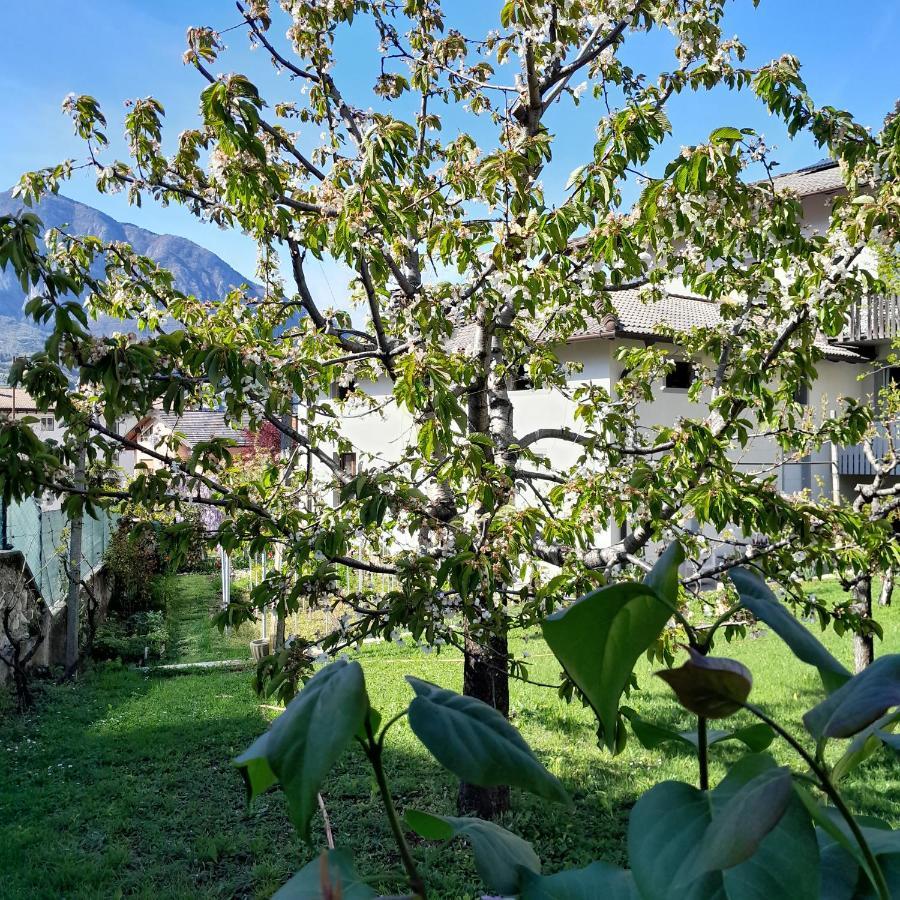 Appartment Lodged Mamma Maria Mattarello 외부 사진