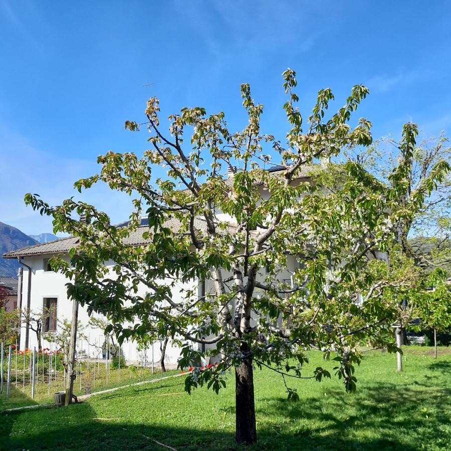 Appartment Lodged Mamma Maria Mattarello 외부 사진