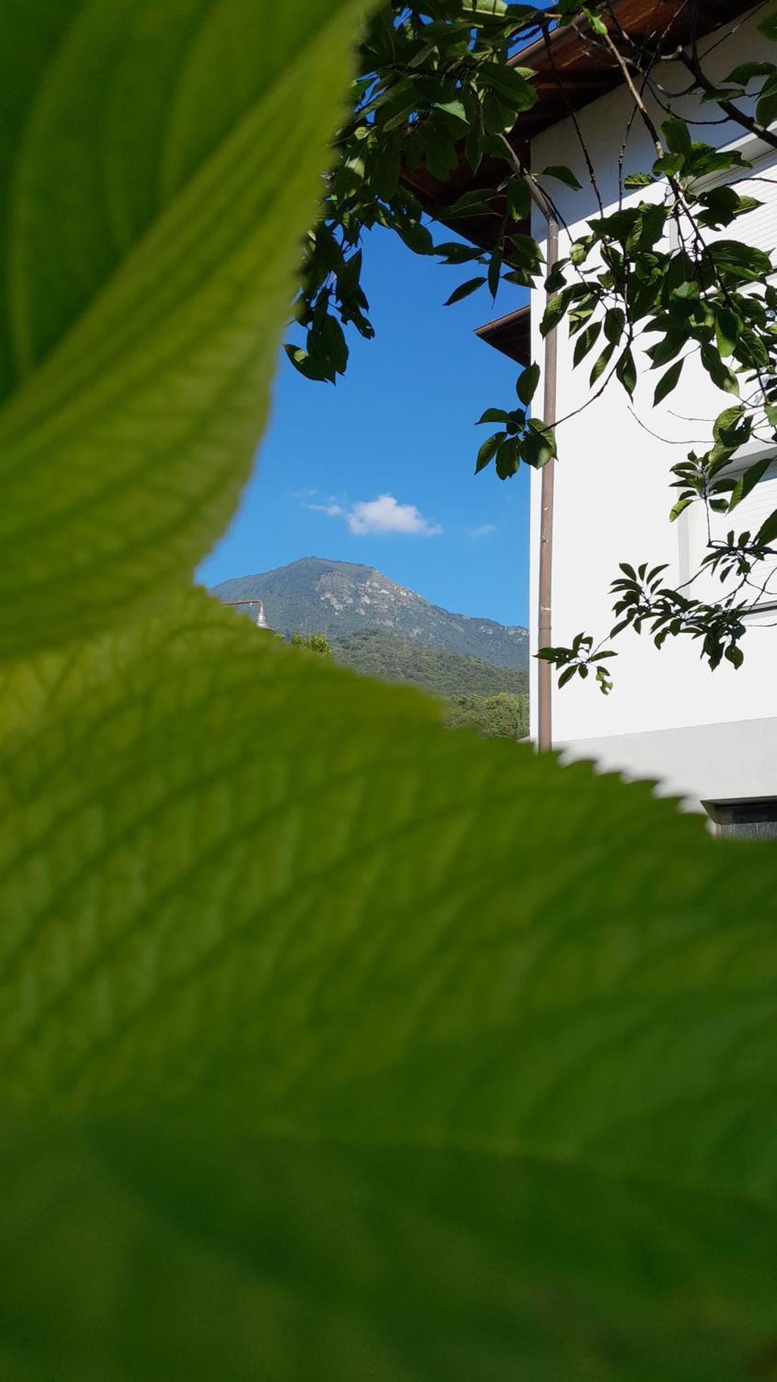Appartment Lodged Mamma Maria Mattarello 외부 사진