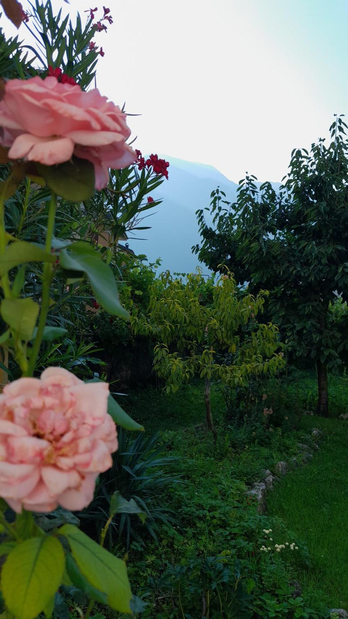 Appartment Lodged Mamma Maria Mattarello 외부 사진