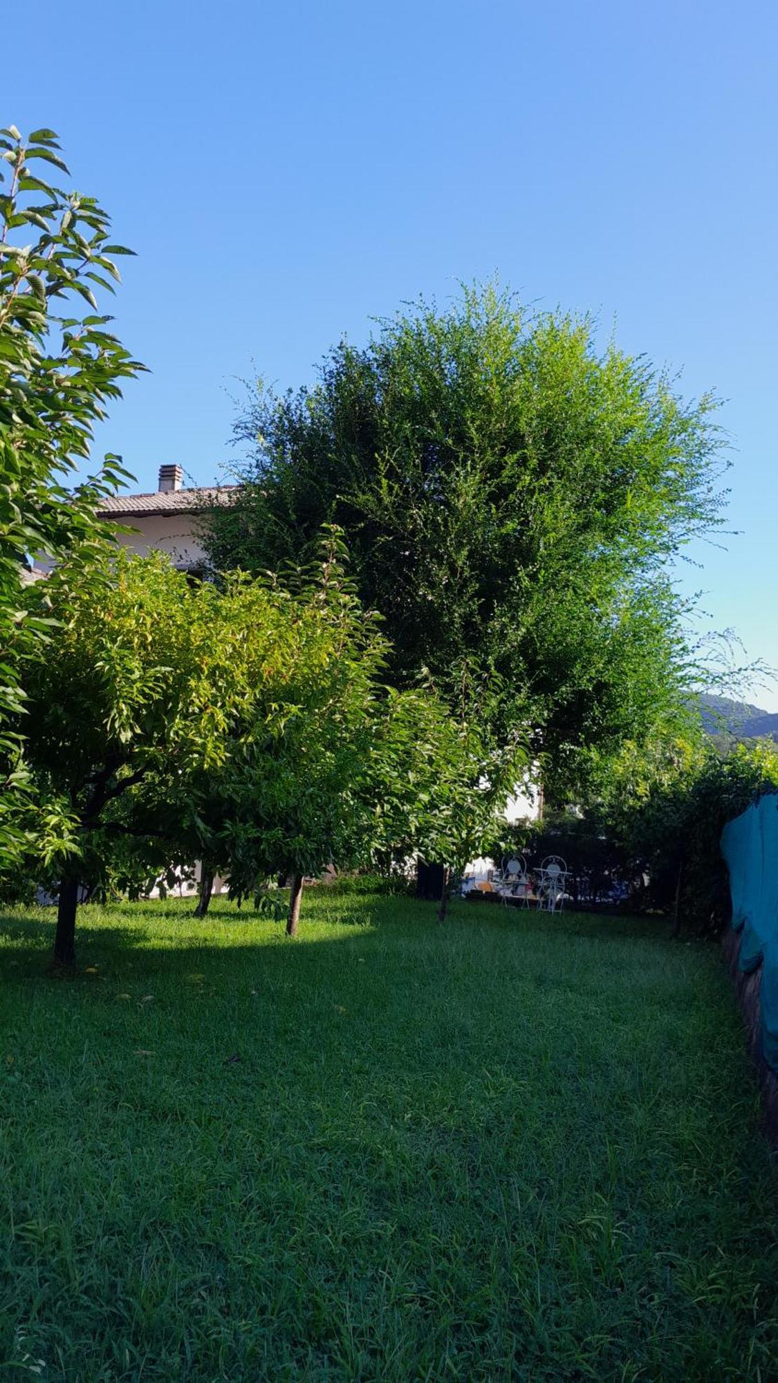 Appartment Lodged Mamma Maria Mattarello 외부 사진
