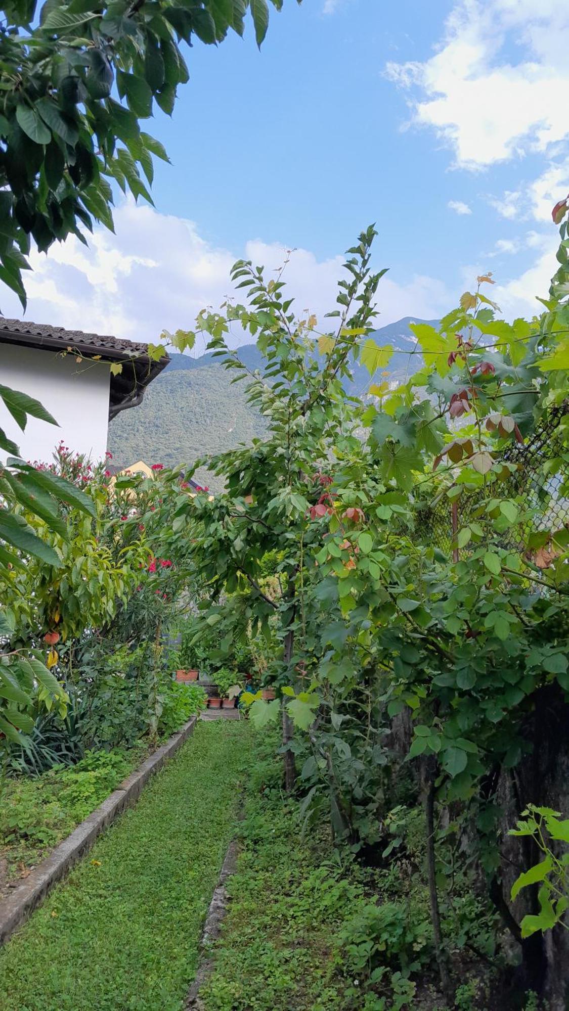 Appartment Lodged Mamma Maria Mattarello 외부 사진
