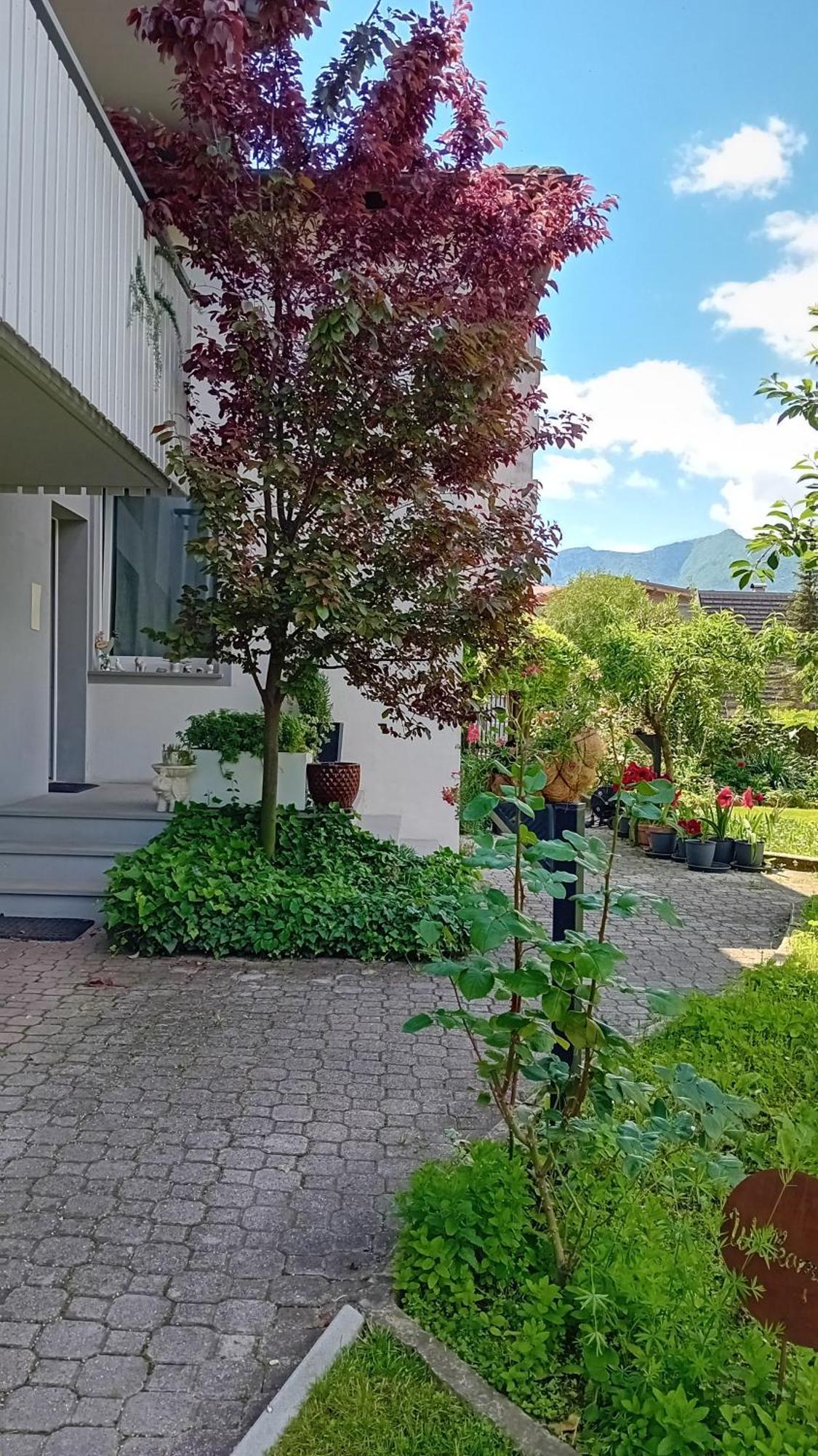 Appartment Lodged Mamma Maria Mattarello 외부 사진